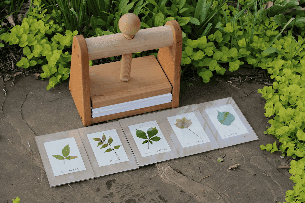 homemade leaf press