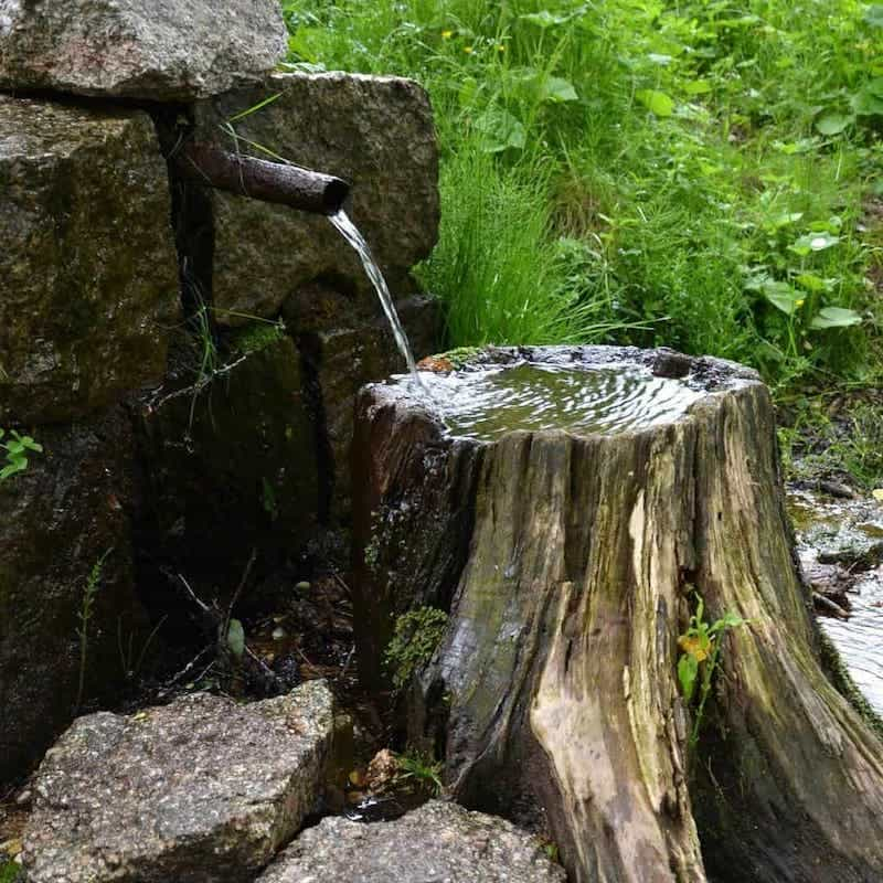 Tree Stumps Reimagined: Innovative DIY Projects for your Yard