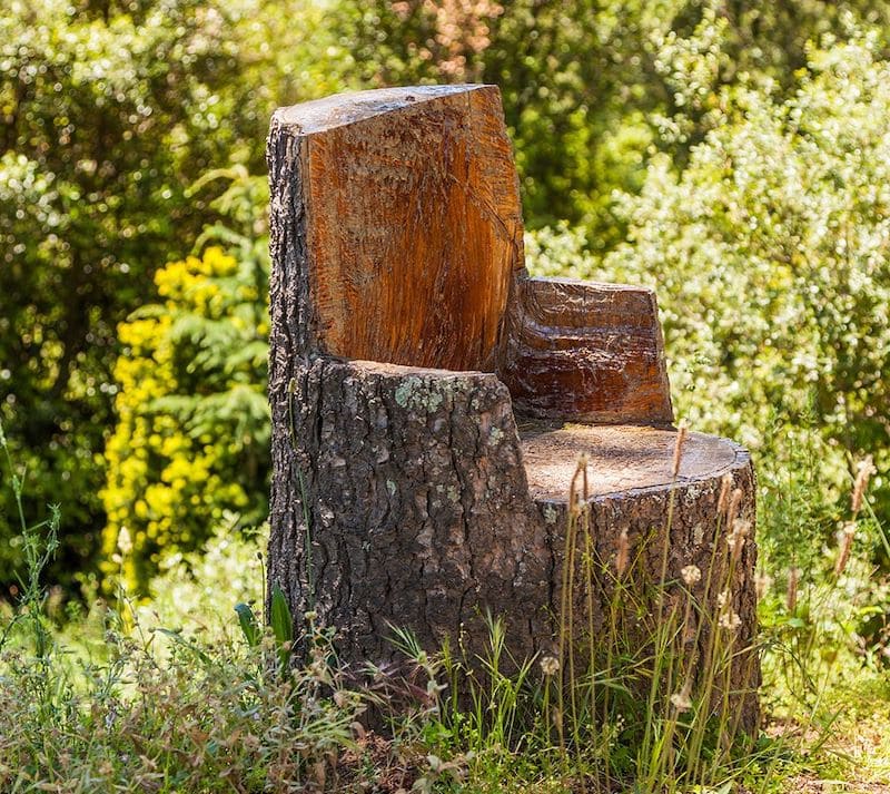 Creative Ways to Repurpose Tree Stumps - FeltMagnet