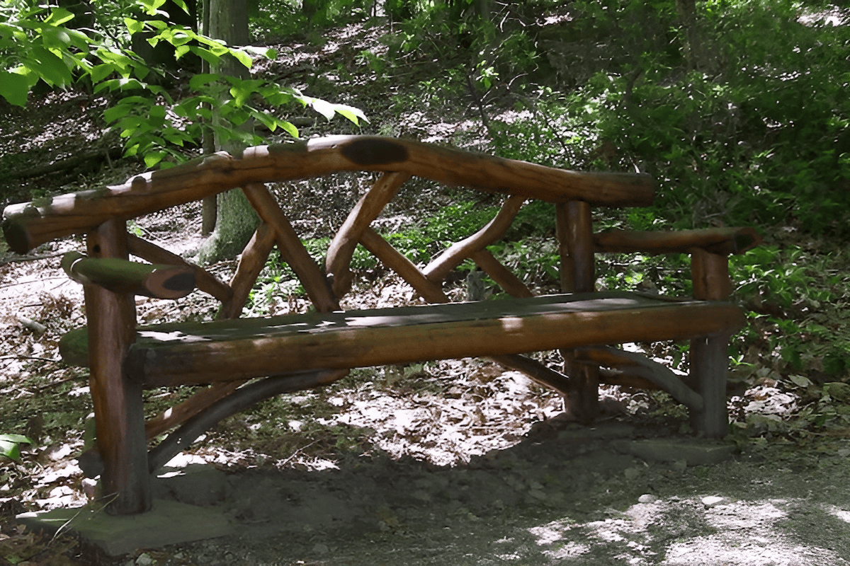 bench made from natural maple tree branches