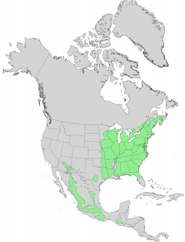 north america black cherry growing zone map