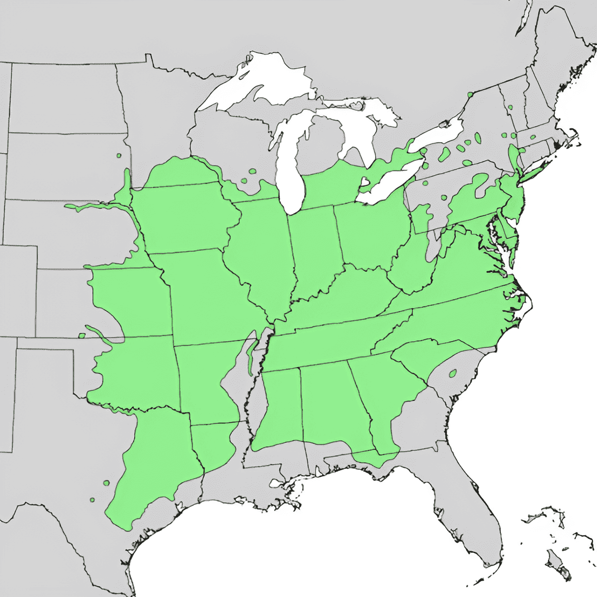 north america black walnut growing zone map