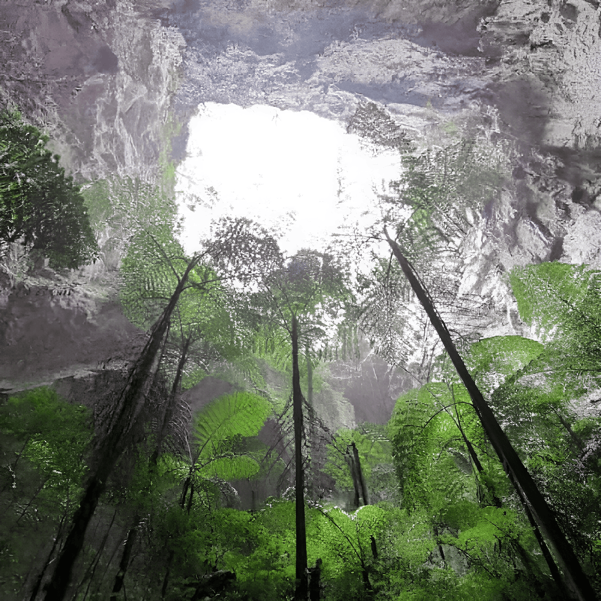 trees clinging to the walls of a sinkhole