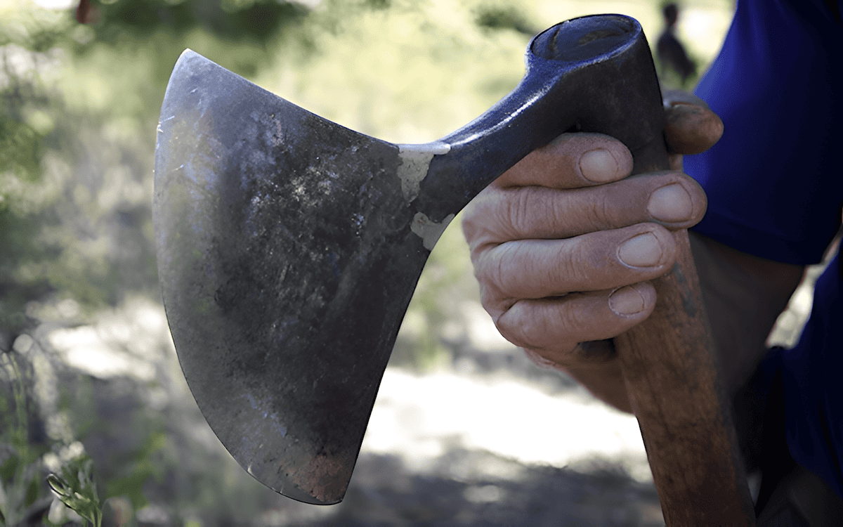 a photo of the axe known as a machado is used to make incisions in the cork bark