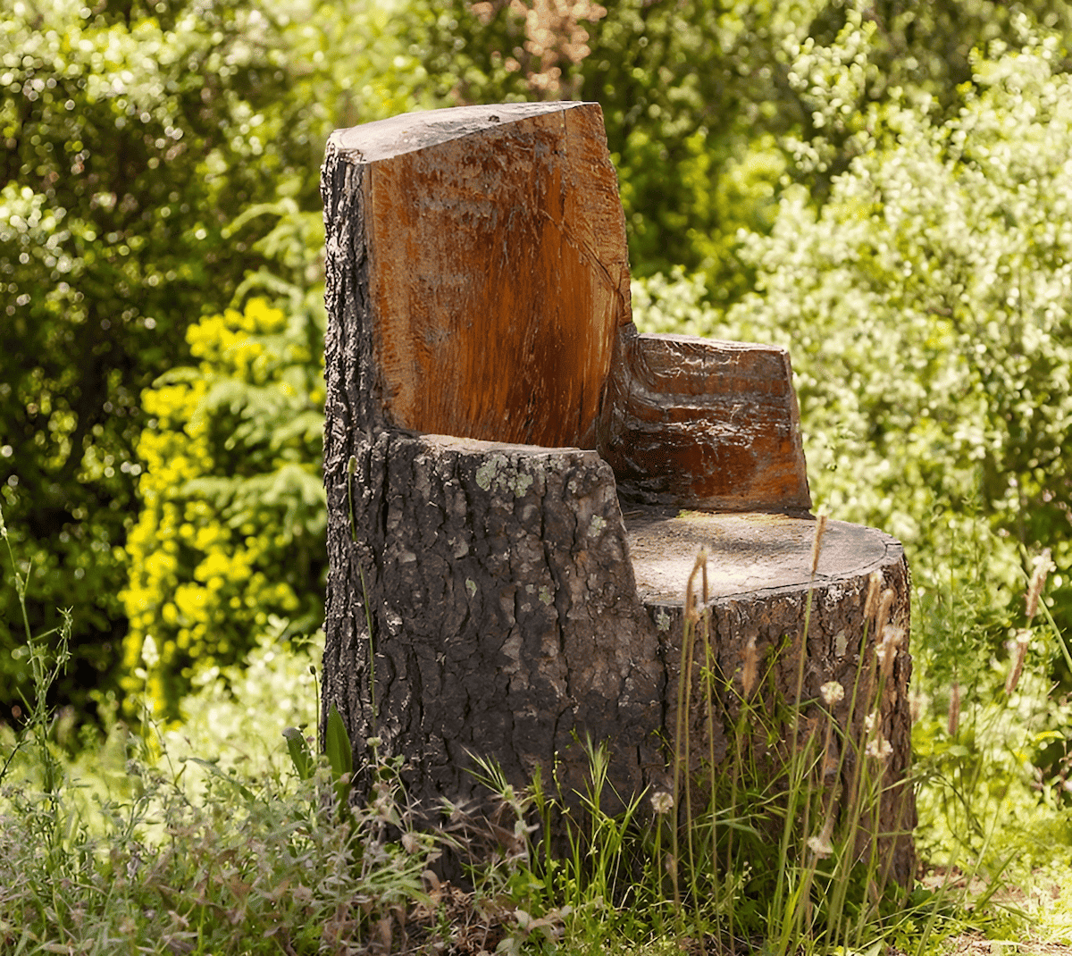 carving an outdoor chair from a tree stump with a chainsaw