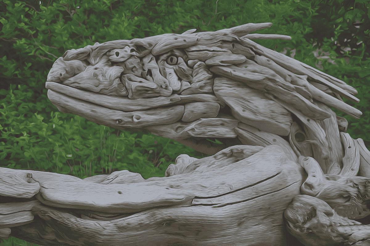 sculptured driftwood