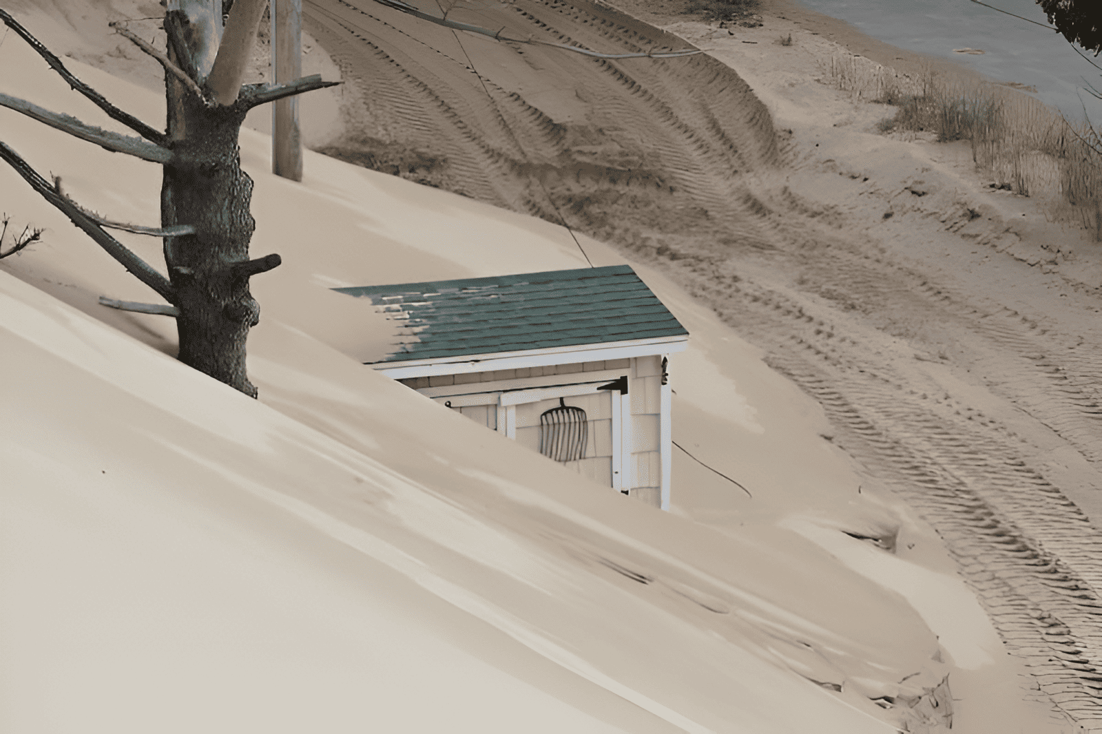 coastal dune covering a desert