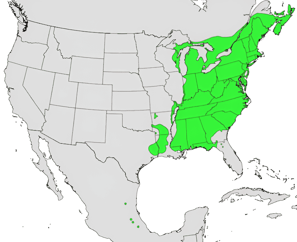 north american elm tree growing zone map