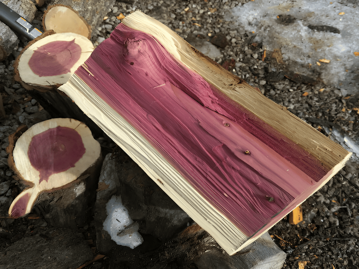 firewood used to make essential oil