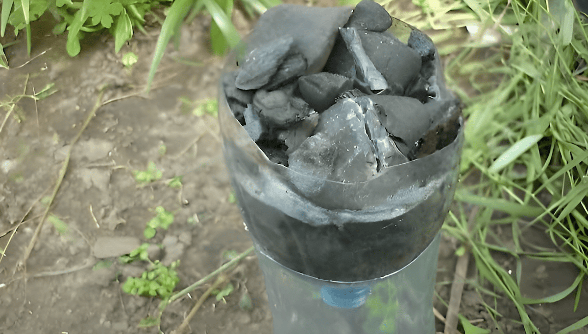 purifying water from a creek, lake or stream with charcoal