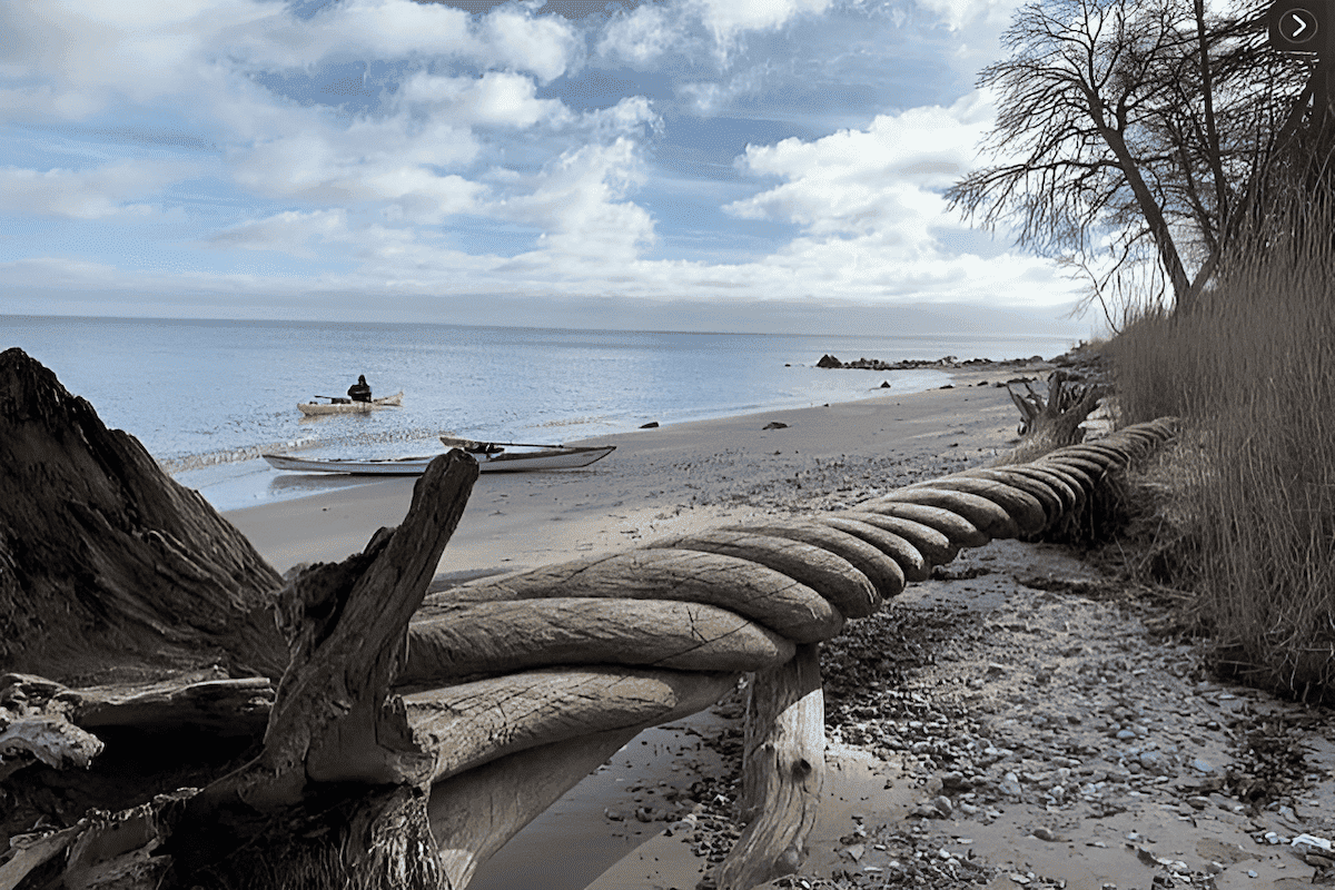 the beauty of freshwater driftwood found on the shores of freshwater lakes