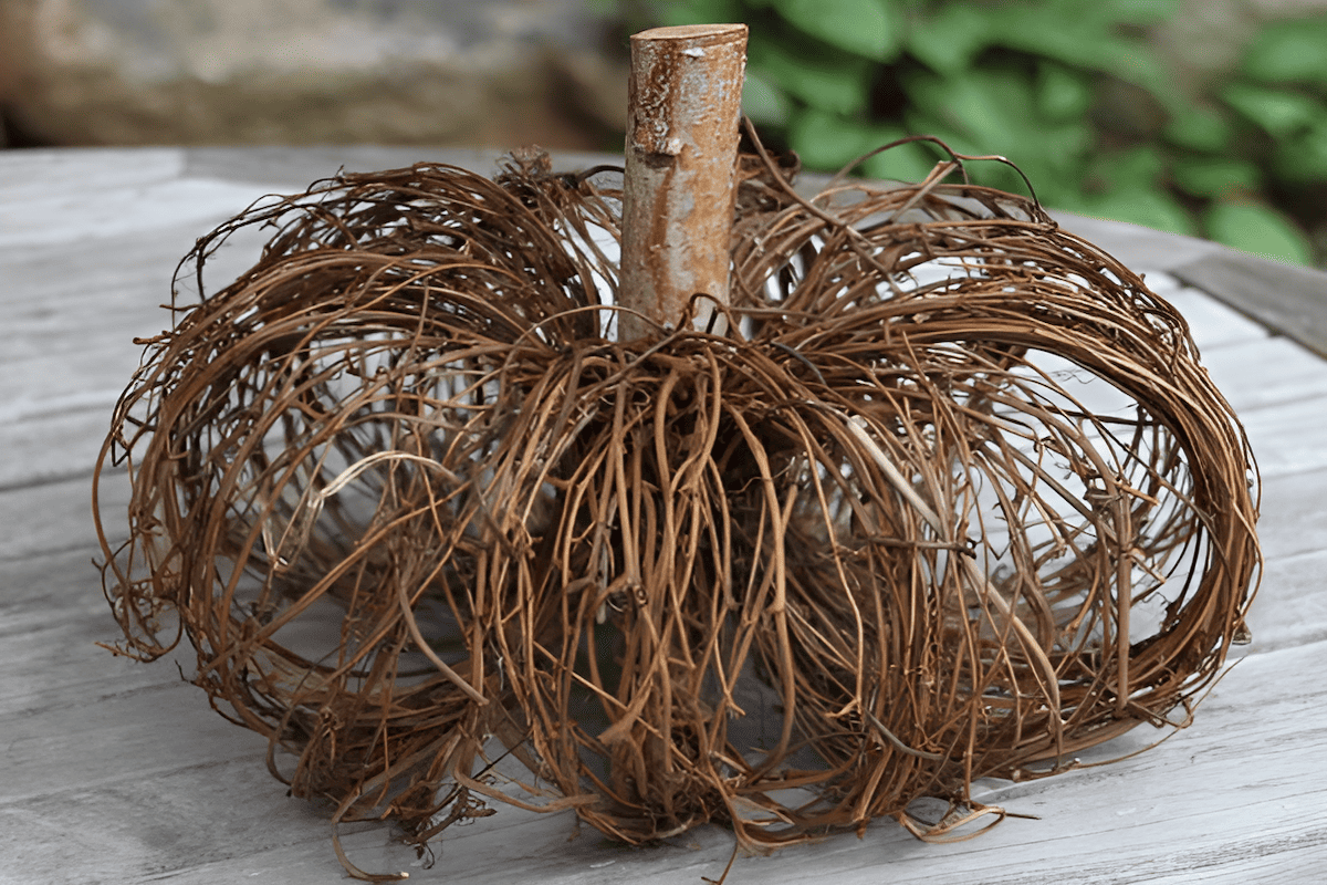 using dried grapevines to make an arty pumpkin