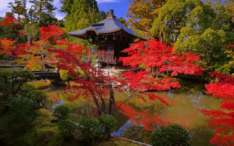 japanese gardens evoke feelings of peace and serenity