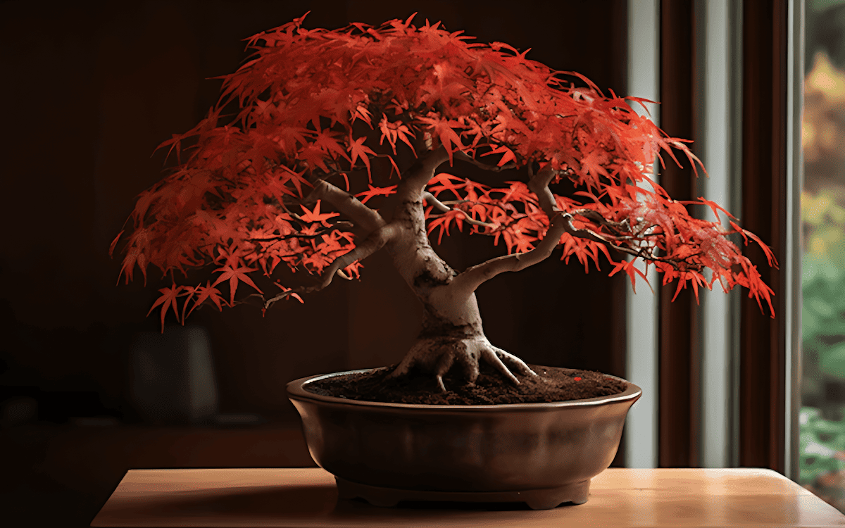 creating a miniature tree as a form of meditation and a way to connect with nature