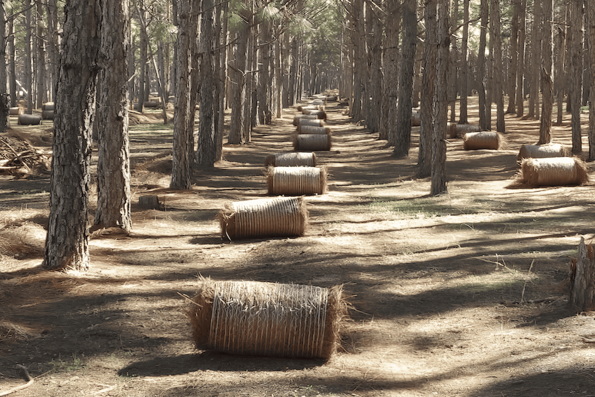 pine straw bales