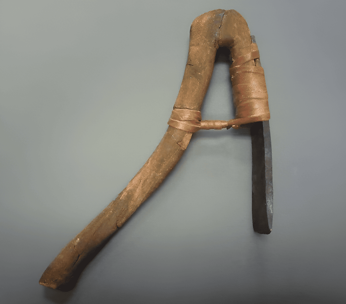 a versatile tools in medieval carpentry