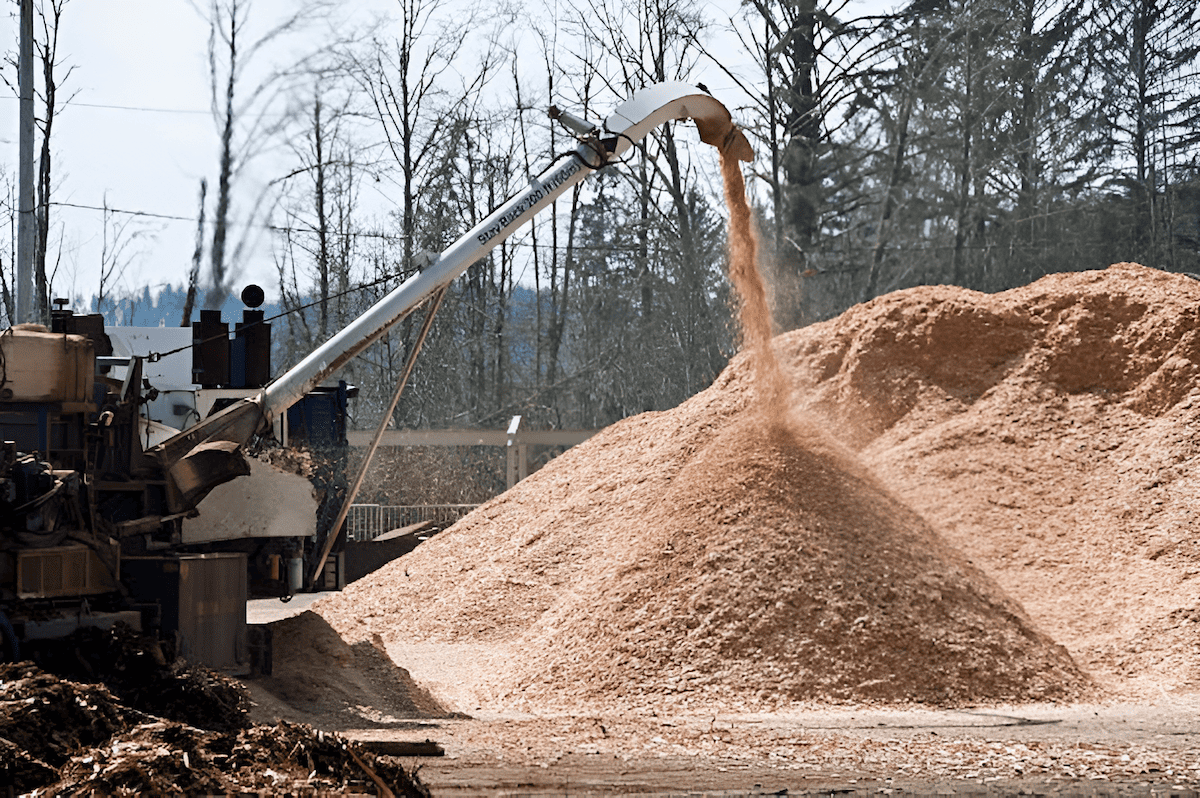 pile of industrial sawdust