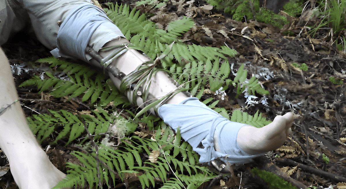 identifying plants that grow in the forest that heal