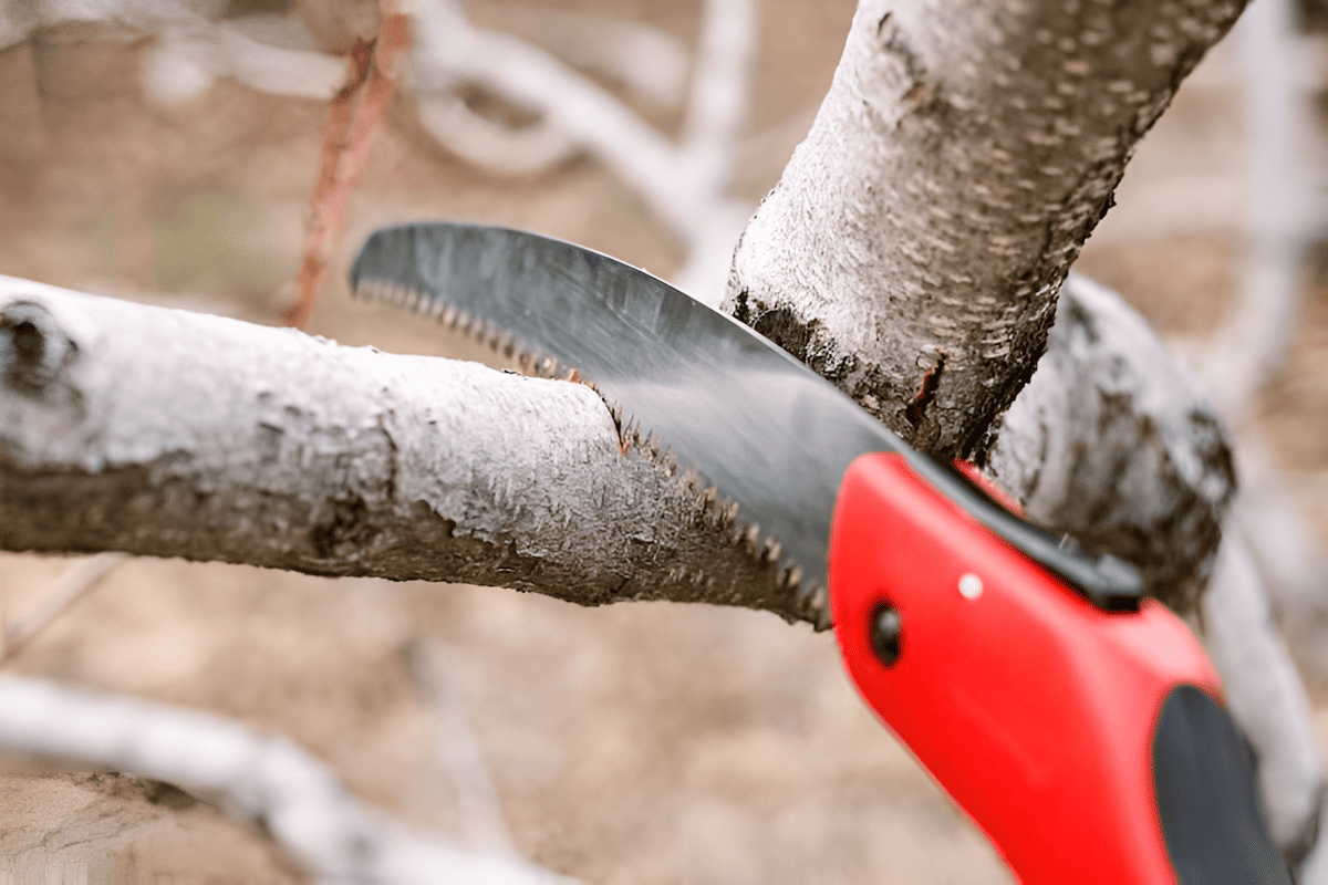 pruning saw for larger tree branches 3 inches or more in diameter