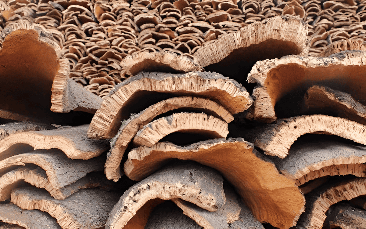 The bark of a mature cork oak can be up to 10 cm thick, providing a rich source of material for cork production