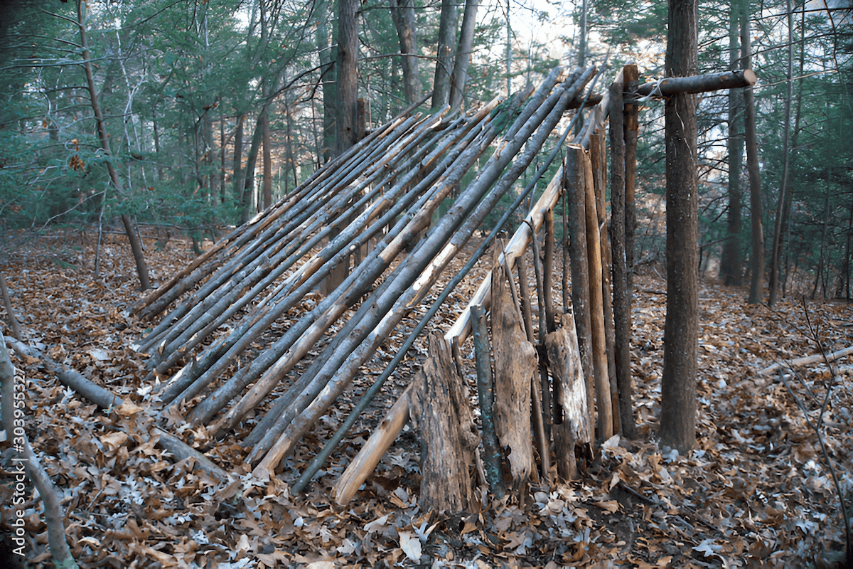 building a sloped branched lean to in the forest