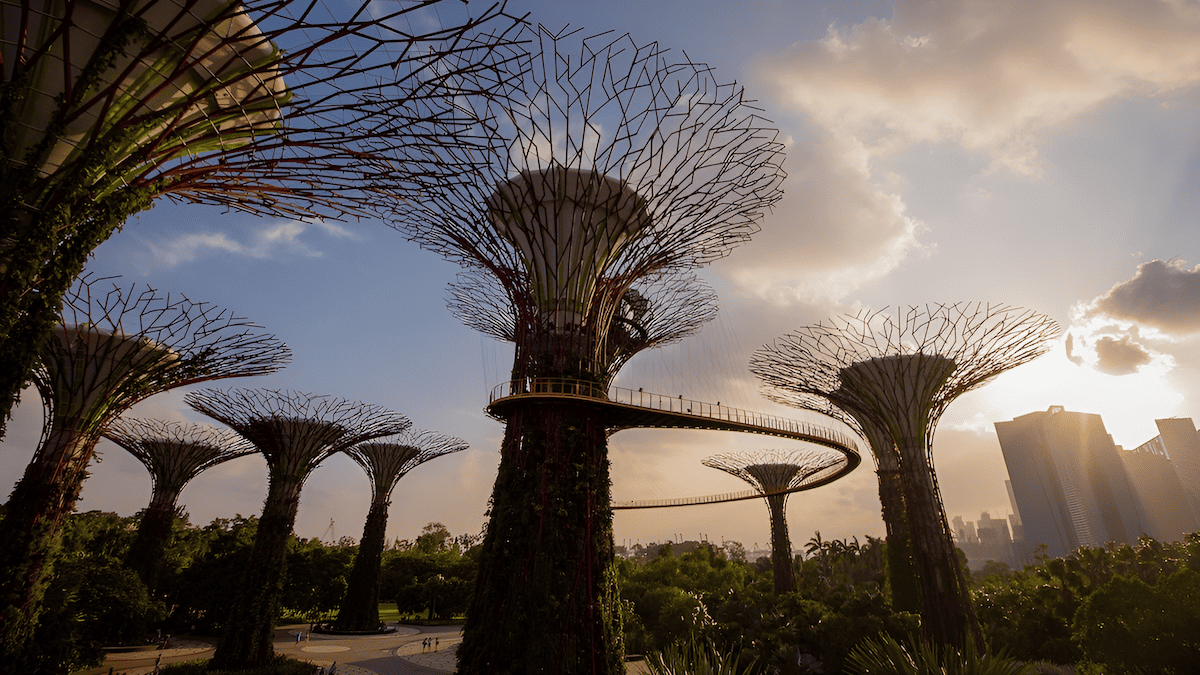 singapore supertrees