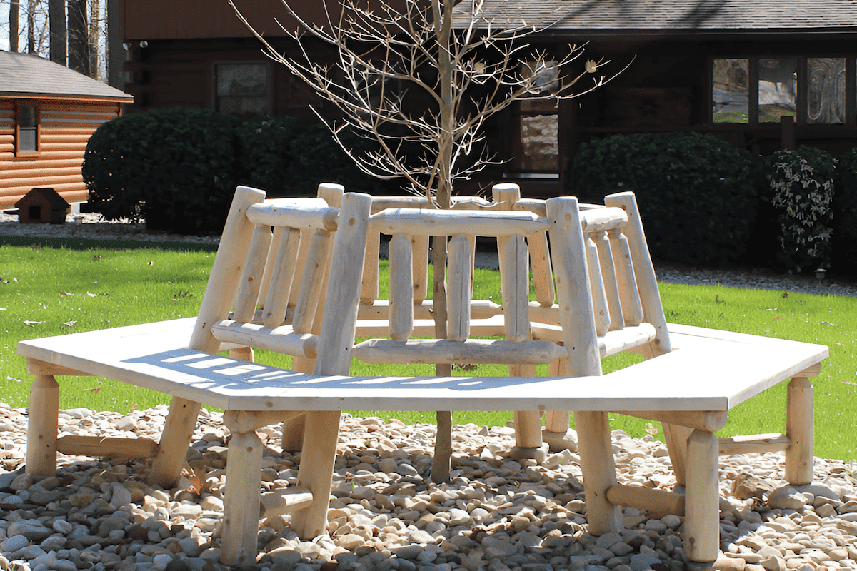 wood bench around a tree