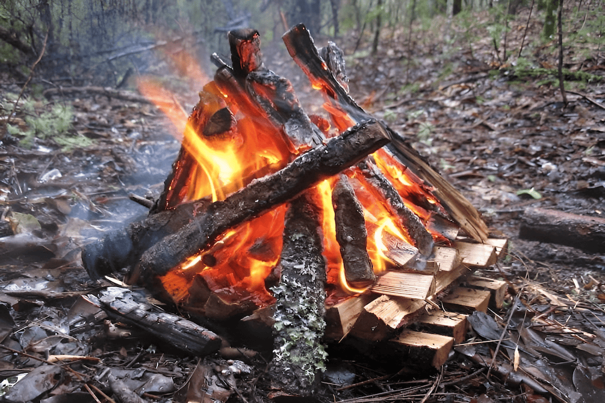 types of wood kindling that are used to start campfires