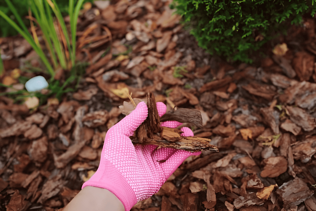 bark wood chips for landscaping